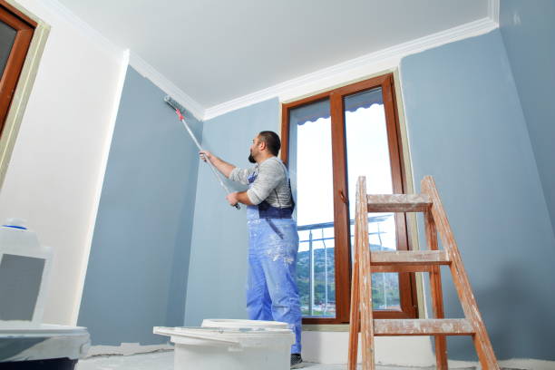  Machesney Park, IL Mold Removal Pros