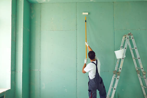Best Mold Remediation for Healthcare Facilities  in Machesney Park, IL