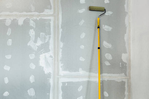 Best Commercial Mold Inspection  in Machesney Park, IL