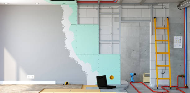 Best Post-Construction Mold Inspection  in Machesney Park, IL
