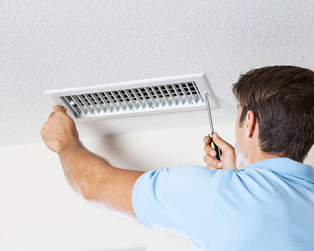Best Mold Documentation for Insurance Claims  in Machesney Park, IL