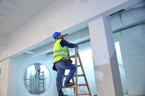 Best Crawl Space Mold Remediation  in Machesney Park, IL